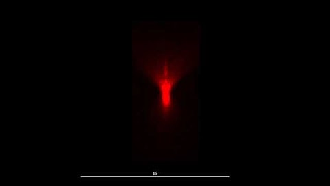 Volume projection of a point-spread function (PSF) of a fluorescent bead