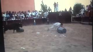 Miranda de Arga(vacas dia la banda)part2