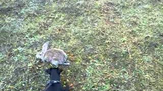 Fulda Vom Traata,4 Ipo Mj,Glas Na Divljači..