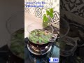 Lemon Grass Tea # Refreshing # Soulful # Black Tea