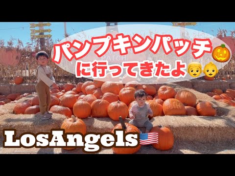 【海外ハロウィン】アメリカのパンプキンパッチに愉快な友達と行ってきたよ☆アメリカで二児の子育てママ 海外生活vlog