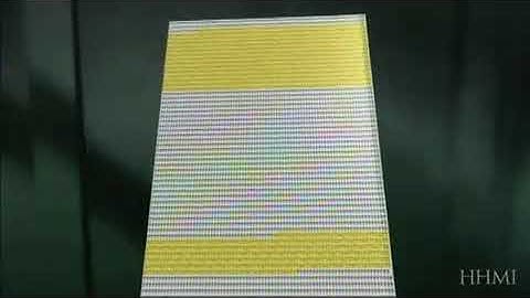 2  Human genome sequencing Animated tutorial