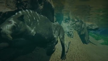 Ashes Reborn Semi Realism :Reborn Pathoftitans