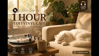 Spend a Peaceful Day at the Vinyl Café ☕️🐱💿 | Cozy Lofi for Focus & Relax #lofi #cafe #bgm #jazz screenshot 5
