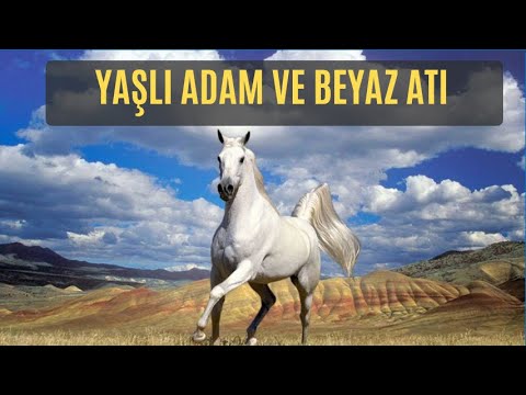 Yaşlı Adam ve Beyaz Atı| ibretlik hikayeler ÇOK AMA ÇOK GÜZEL