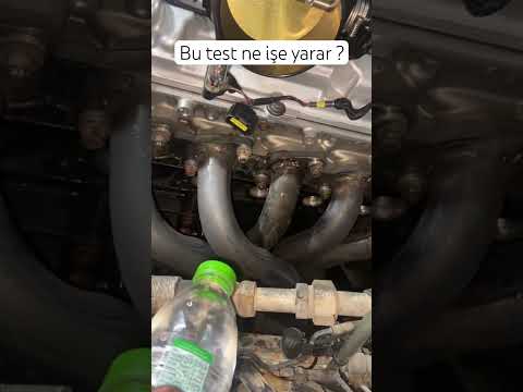 Bu test ne işe yarar ?