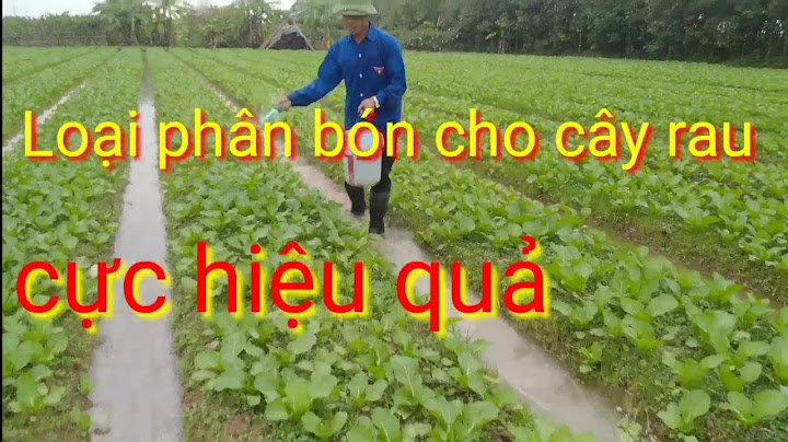 Hướng dẫn cách bón phân cho rau sạch