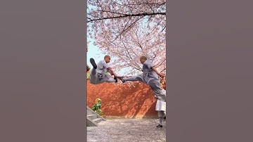 Shaolin Monk Acrobatic Training 💥👊👌 Demonstration #shorts