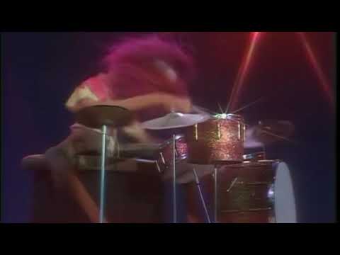 Muppet Songs: Electric Mayhem - Sunny