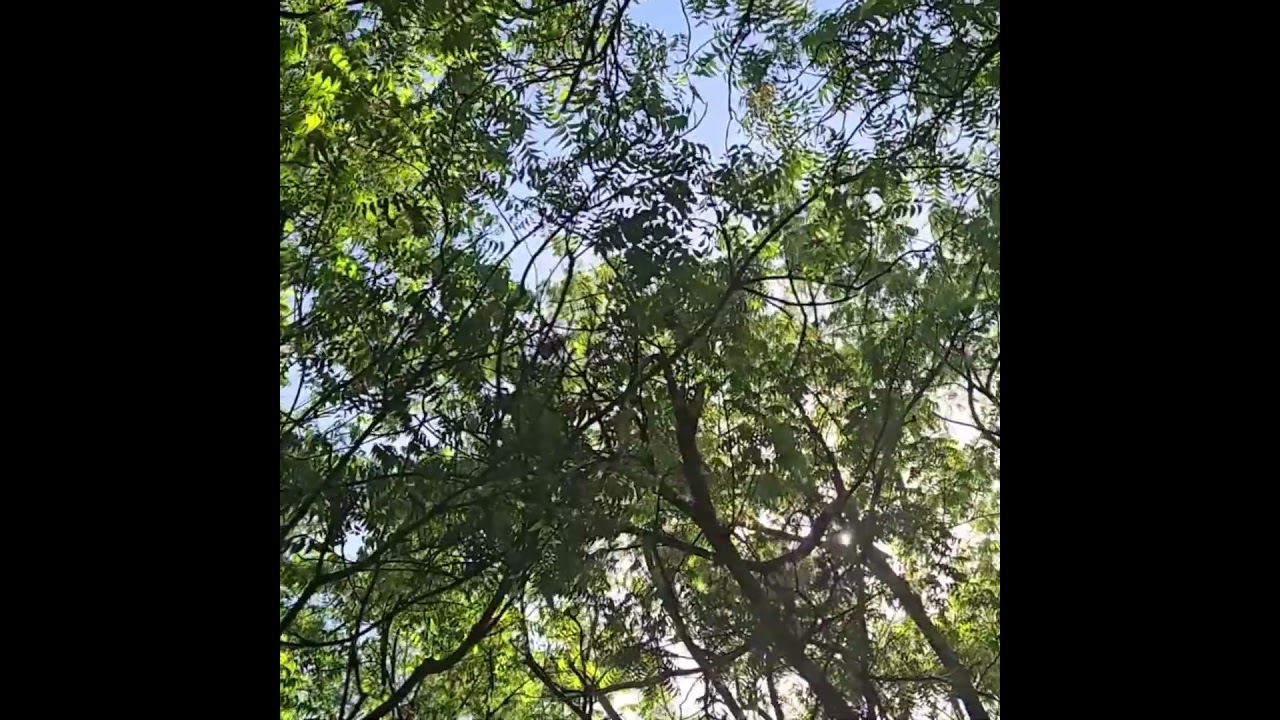 enregistrer une voix off apaisante pour vos contenus bien-être