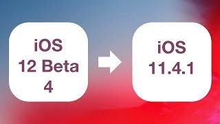 How to Remove iOS 12 Beta 4 to Downgrade to iOS 11.4. No Data Loss screenshot 4
