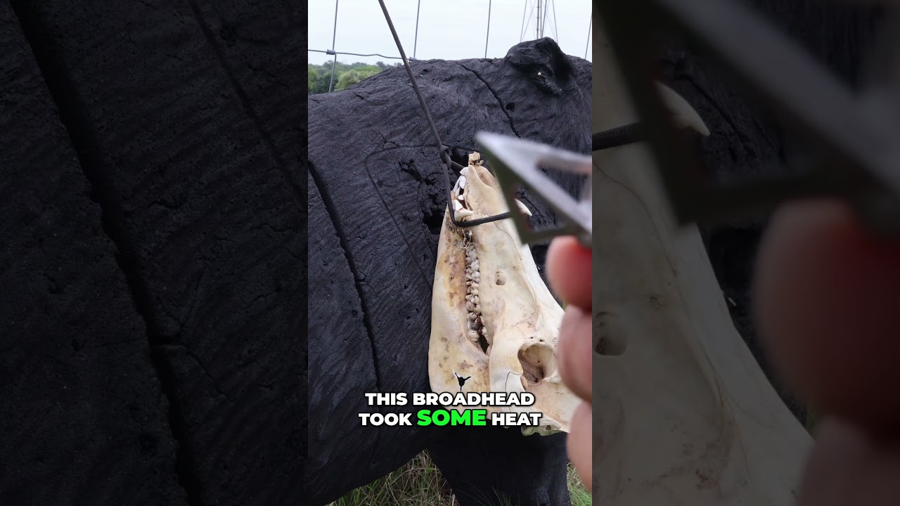 Я сломал "Монтек"! 