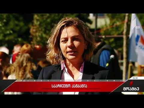 პარტიის „ანა დოლიძე - ხალხისთვის“ - საარჩევნო კამპანია