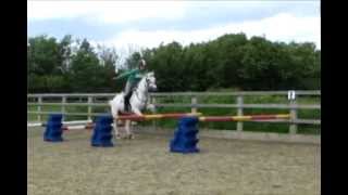 Gridwork upto 3ft6 no handed