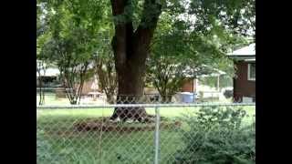 09132014 at 339 pm