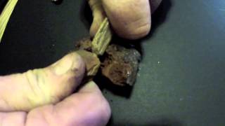 broken bic lighter challenge