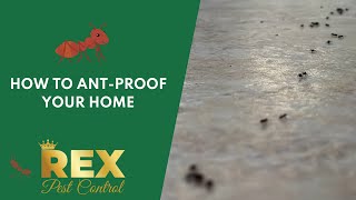 How to Ant-proof your home | Rex Pest Control Sydney