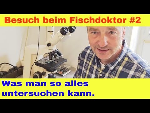 Zu Besuch beim Tierarzt für Zierfische Teil 2 Reupload mit besserem Ton (KI)