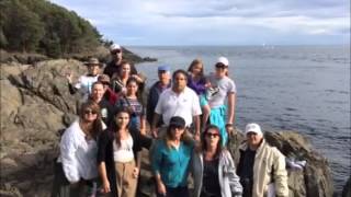 Obama: Save the orcas!
