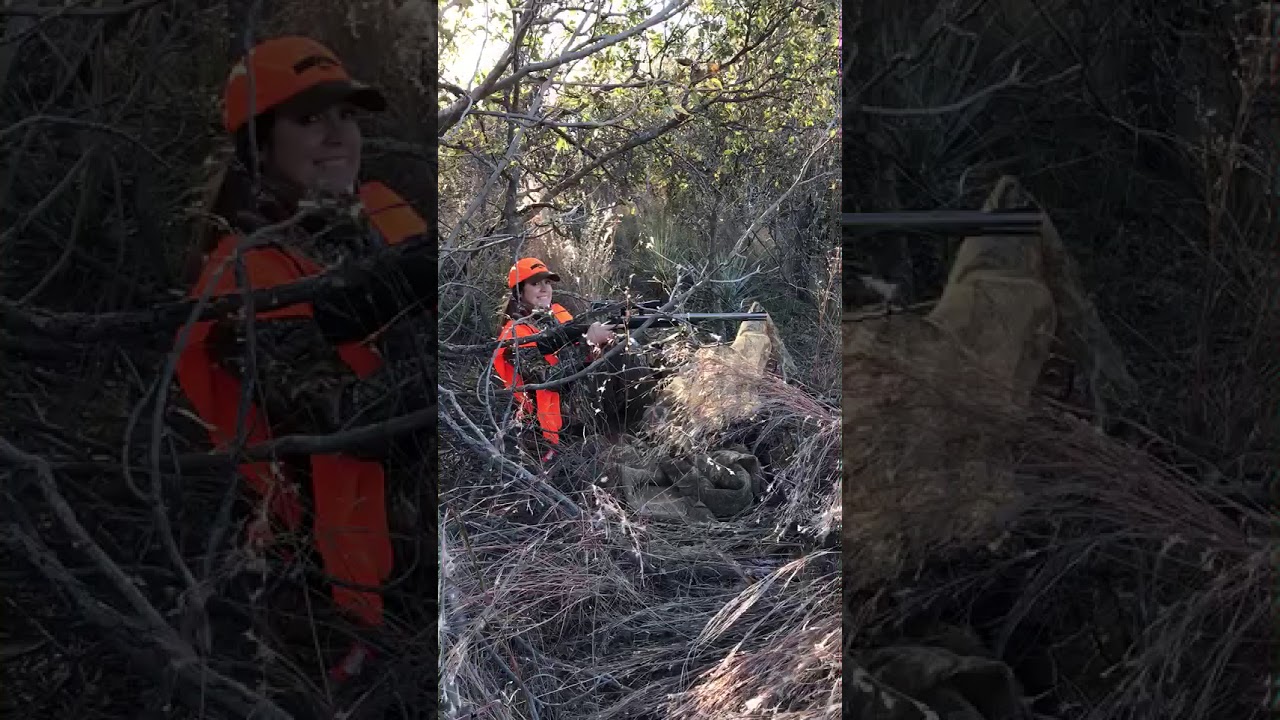 Hog Hunting Oklahoma 