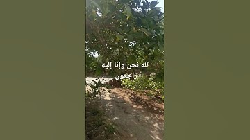 #اكسبلور #لايك #القاريء #تيك_توك #الرحمن #ترند #quran #nature #تلاوات #راحة_نفسية