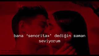 Cano Bey -Shawn Mendes, Camila Cabello Señorita Türkçe Çeviri