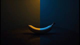 What If We All See Different Colors