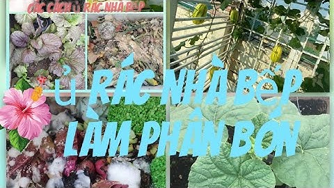 cách ủ rác nhà bếp không hôi, không bị giòi, thành phân bón / Turn kitchen waste into fertilizer