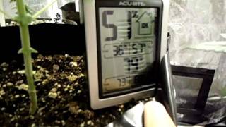MOV06243
