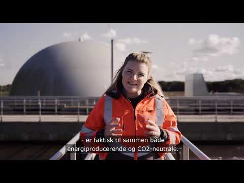 Video: Forskellen Mellem Velhavende Og Spildevand