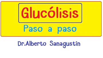 ¿Cómo se llama el producto final de glucólisis?