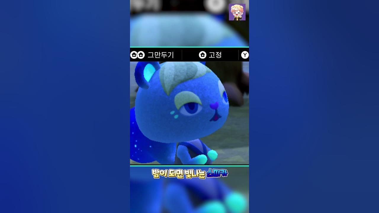 모동숲 신규주민 스피카 밤이 되면 