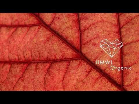 RIGOONI - Tzaddi (Aguadeiro Remix) [Organic House 2025/Amesch]