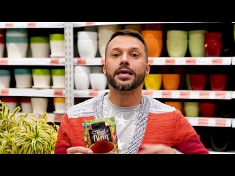 Как выбрать средство для борьбы с вредителями? Дачная экспертиза