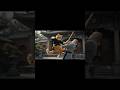 Kung Fu Cat Master#shorts