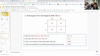Monohybrid Practice Problems Demo