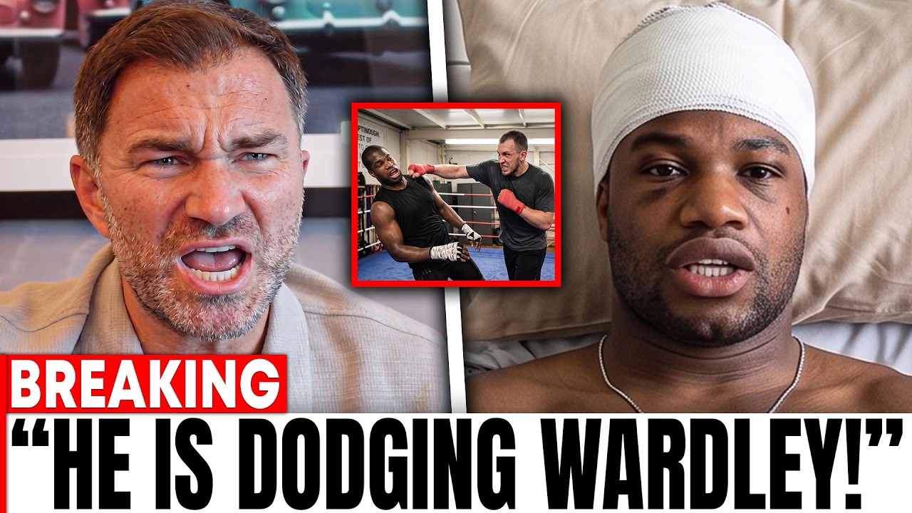 Scared Boxer Fight