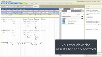 How to mask repeats in GenSAS