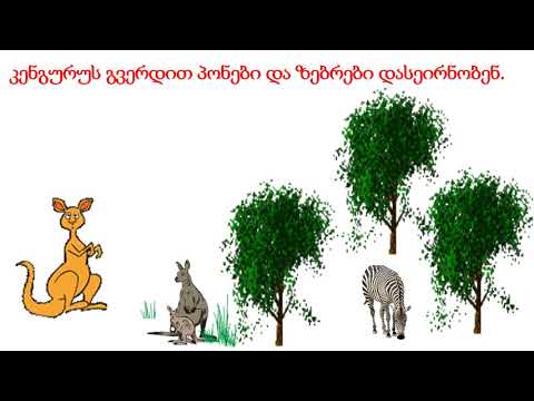 ზ ო ო პ ა რ კ ი