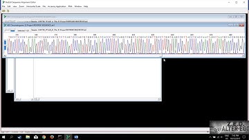 Tutorial Bioedit
