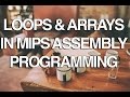 Loops  arrays in mips assembly lanuage programming