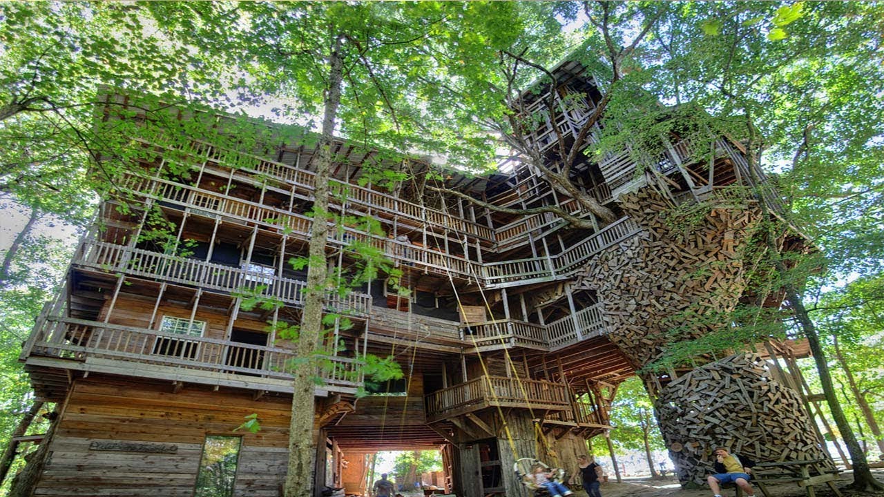 As Melhores Casas Na Arvore Do Mundo