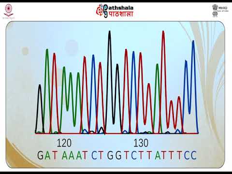 Gene mapping Ch-06 Social Science - IV