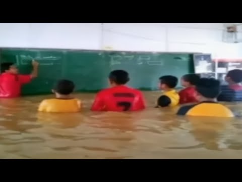 Top 5 Teacher