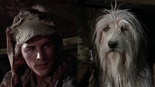 Blood & Vic | A Boy and His Dog