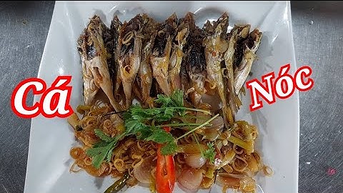 Cá nóc kho xã ớt siêu cay ngon hon hơn thịt gà níu ai đa từng ăn