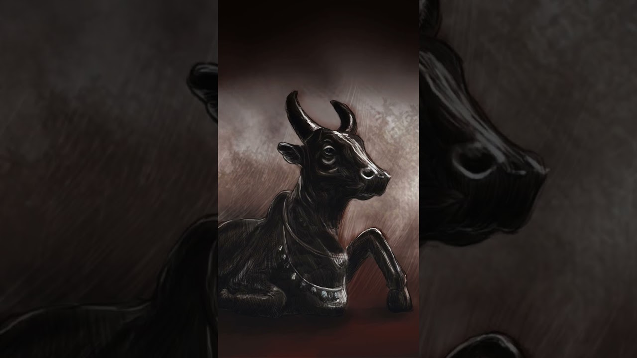 #everyone #highlights #travel #karnataka #lordshivablessing #lordshivastatus #Niligries