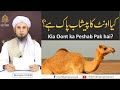 Is Camel's Urine Pure? | کیا اونٹ کا پیشاب پاک ہے؟ | Solve Your Problems | Ask Mufti Tariq Masood