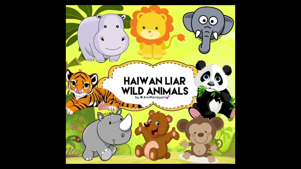 Pdpr Prasekolah Tema Haiwan Liar Youtube