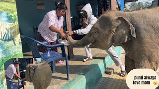 Punti Calling Mom To Give Food 